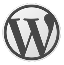get rid of spam of your wordpress blog